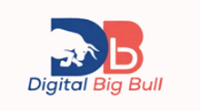 Digital Big Bull