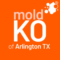 Mold KO of Arlington TX