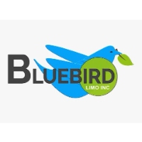 Bluebird Limo Inc