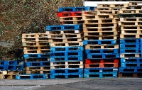 CYCLE PALLETS LLC Eduardo Flores