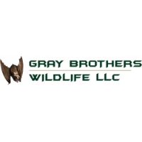 Gray Brothers Bat-Wildlife-Squirrel Removal