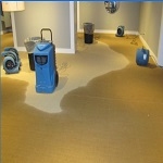 Violet Water Damage Restoration Chicago