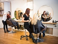 Aufderhar hair clinic