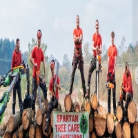 Spartan Tree Care