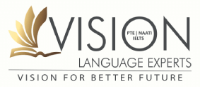 Vision Language Experts