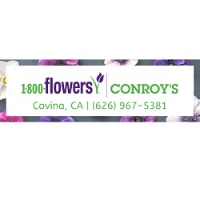 1-800-Flowers | Conroy's Flowers Covina