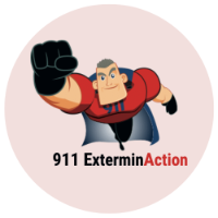 911 ExterminAction