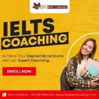 Maple ielts college - Best Ielts Coaching Institute in Ludhiana