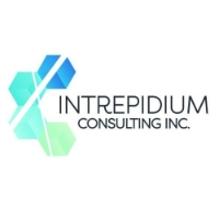 Intrepidium Consulting