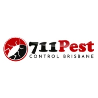 Flies Treatment Brisbane