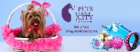 Pets In The City - Professional Dog Groomers in Dubai