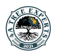 4A Tree Experts