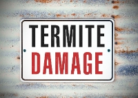 Golf Coast Termite Removal Experts