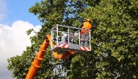 Kansas Tree Service