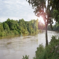 Fountains City Tree Service