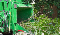 Green Hill Tree Service