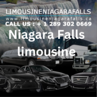 Niagara Falls limousine