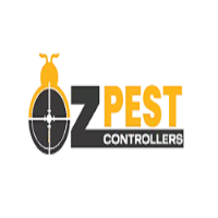 OZ Wasp Removal Brisbane