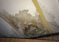 Orange City Water Damage Solutions