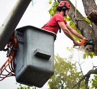 LUMBERTOWN TREE SERVICE