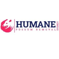 Humane Possum Removal Wollongong