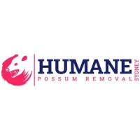 Humane Possum Removal Burwood