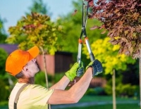 Gainesville Tree Service Inc.