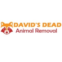 David's Dead Mice Removal Hobart