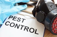 Town Site Pest Control Co