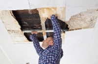 NOLA Water Damage Experts