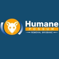 Humane Possum Removal Ipswich