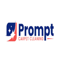 Prompt Rug Cleaning Perth