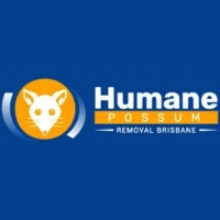 Humane Possum Removal Gold Coast