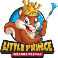 Little Prince Pressure Washing