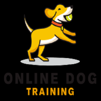 Online Dog Training