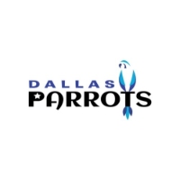 Dallas Parrots