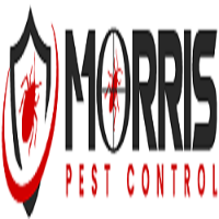 Morris Possum Removal Perth