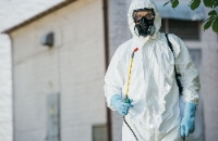 Playground Pier Termite Removal Experts