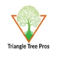 Triangle Tree Pros