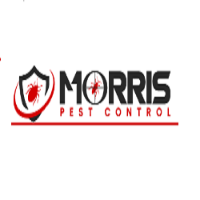 Morris Possum Removal Sydney