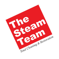 The Steam Team