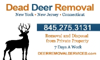 Dead Deer Removal