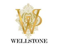 Wellstone Auto Spa