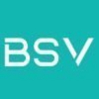 BSV ehf