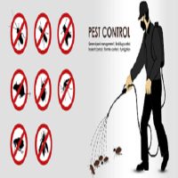 Walnut City Pest Control