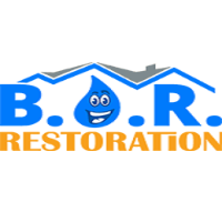 Best Option Restoration (B.O.R.) of Lakewood