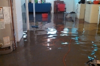 Flood Damage Restoration Manly