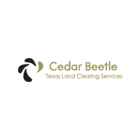 Texas Land Clearing Services ~ Cedar Beetle