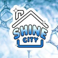 Shine City Pressure Washing Langley