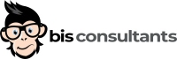 BIS Consultants